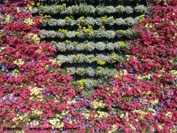 Imagine atasata: Glissando Garden Center - 2015.05.19 - 03.jpg